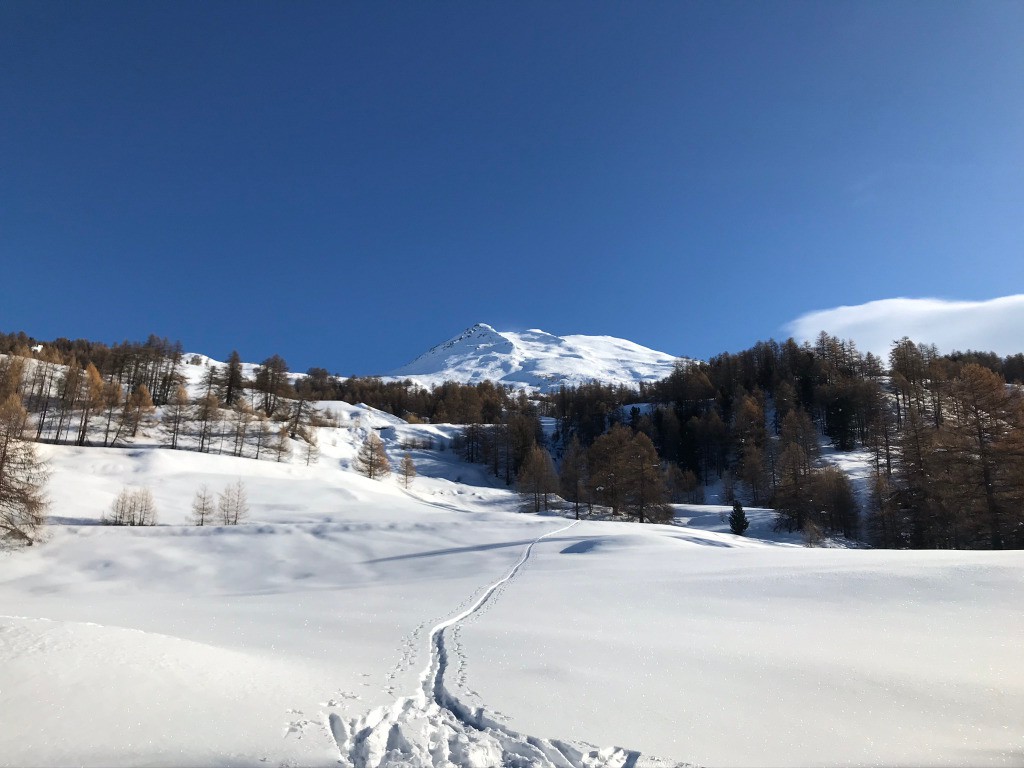 Et hop, au soleil ! 