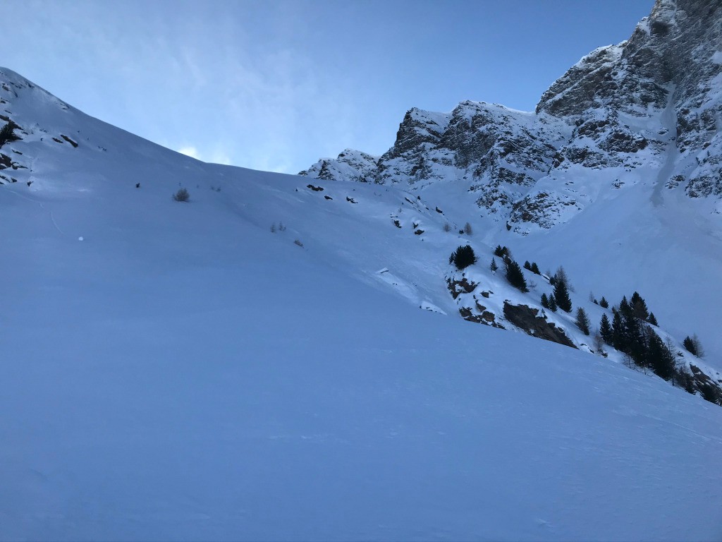 #1 vers 2500m, au dessus de la forêt vers 2500m, au dessus de la forêt