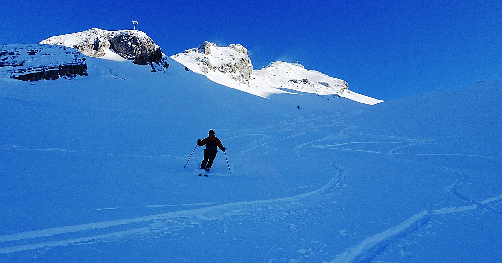 #4 Haut de la combe de Torchère. Haut de la combe de Torchère.