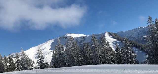 Deux des pentes skiées ce jour: à gauche, la combe de l'Airon, à droite, la pente soutenue de Corbalanche.