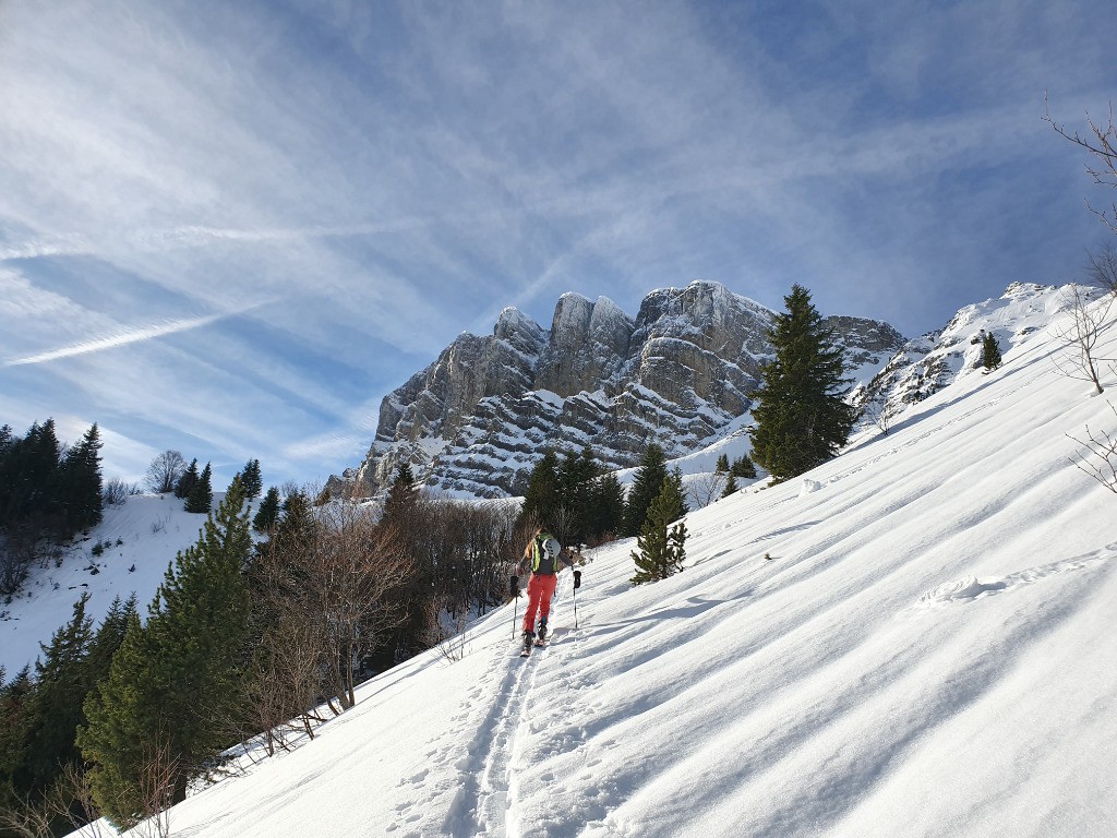 Le grand en fond