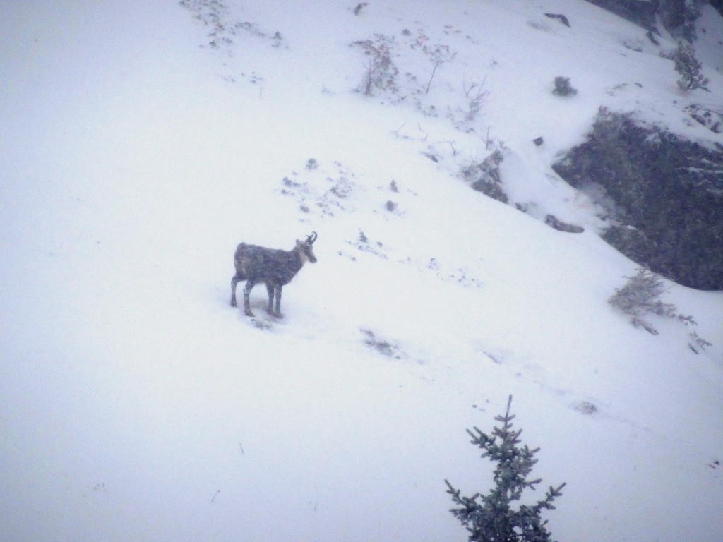 #3 il a mis du temps à me voir ! il a mis du temps à me voir !