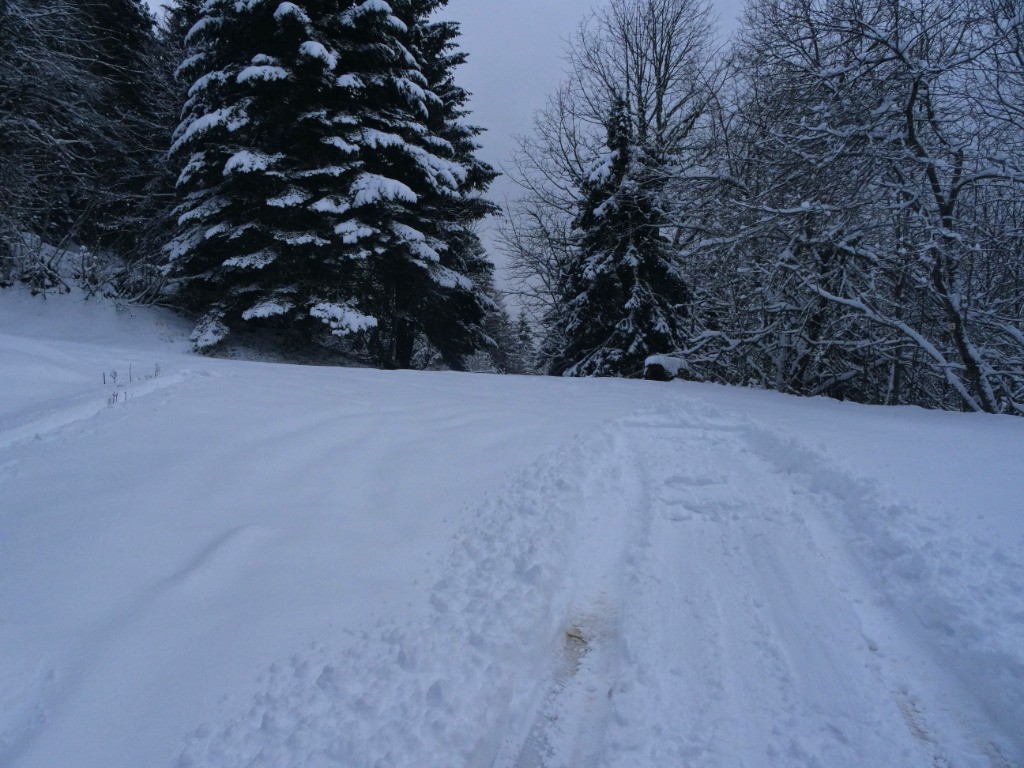 #2 pas plus loin ça pousse devant! pas plus loin ça pousse devant!