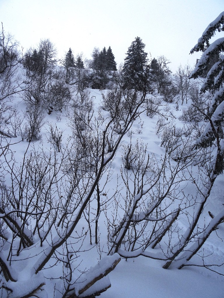 #4 un peu de slalom spécial ça rappel le bon vieux temps... un peu de slalom spécial ça rappel le bon vieux temps...
