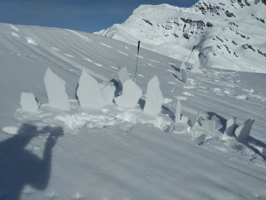 #6 Showroom! Showroom!