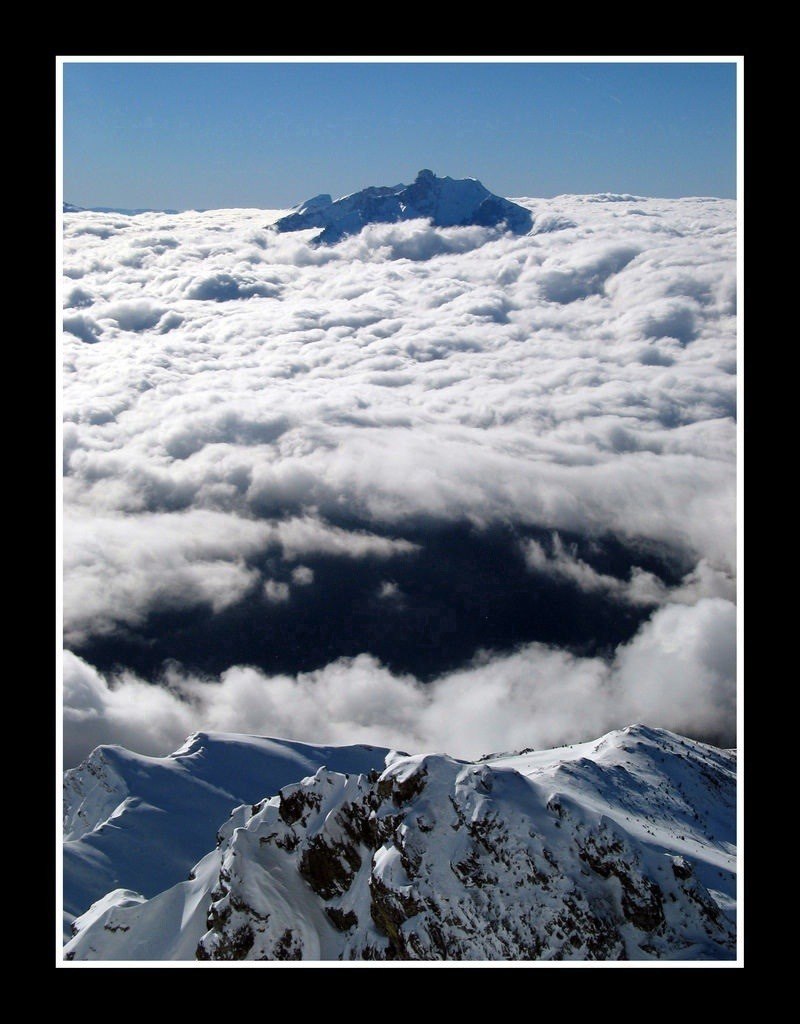 #5 Sa majesté l Sa majesté l'obiou : clin d'oeil au titre du livre de claude Péquignot: Sa majesté l'obiou