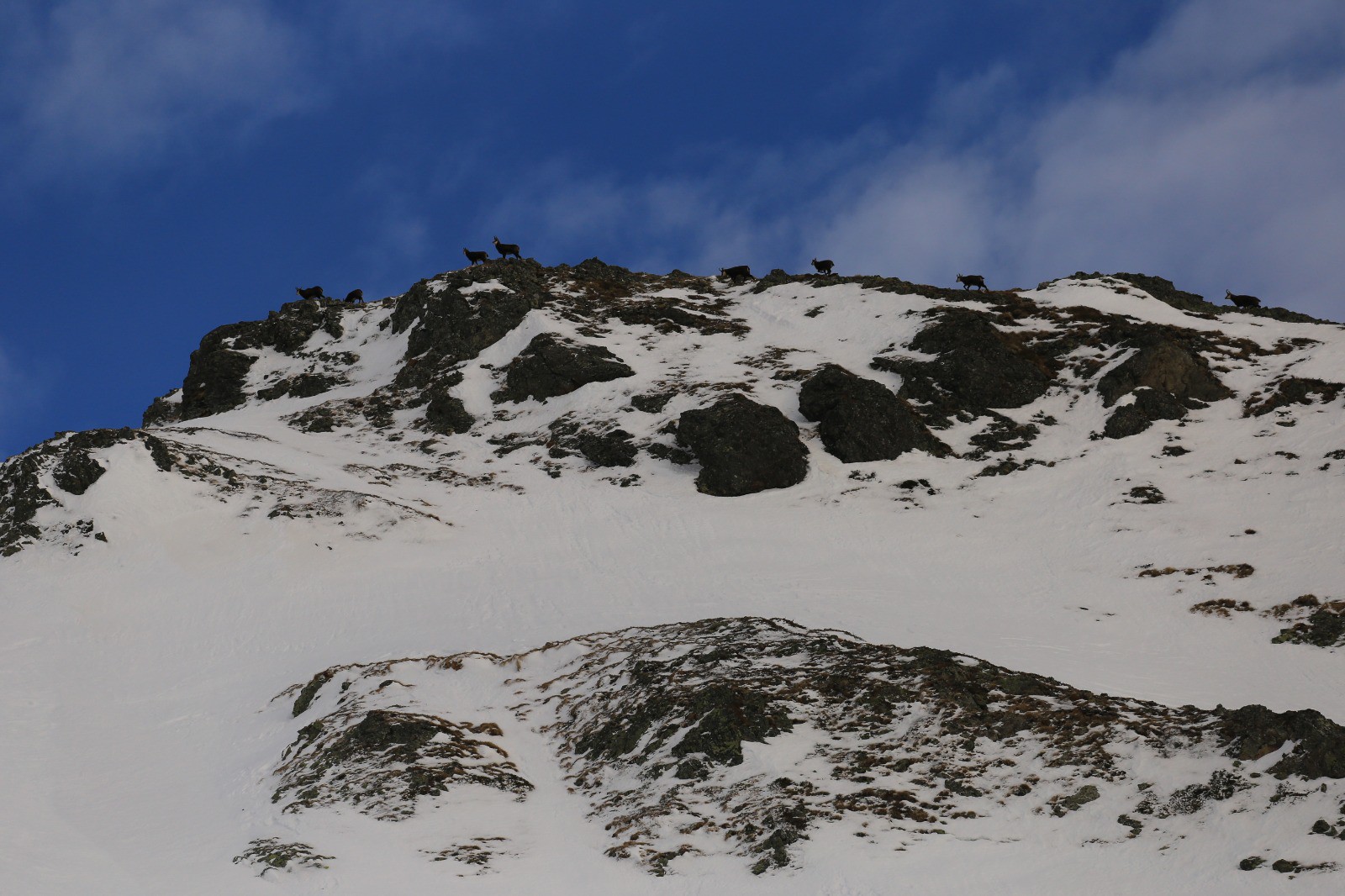 Sur la crête