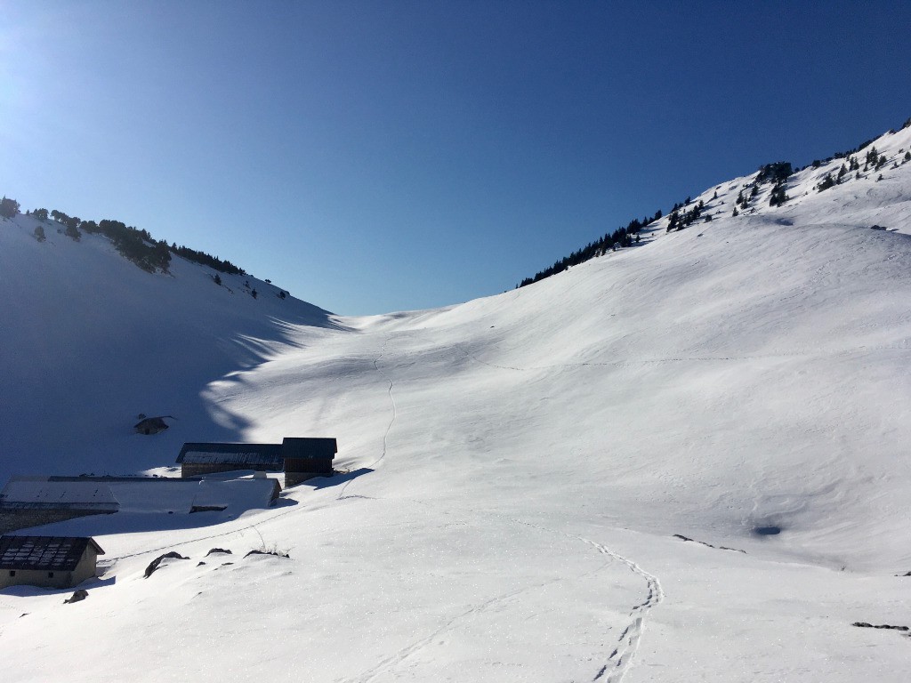#5 Pas pire, niveau neige Pas pire, niveau neige