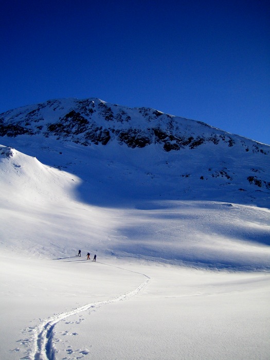 #10 Pas de la mine : L Pas de la mine : L'équipe du jour, arrive au pas.