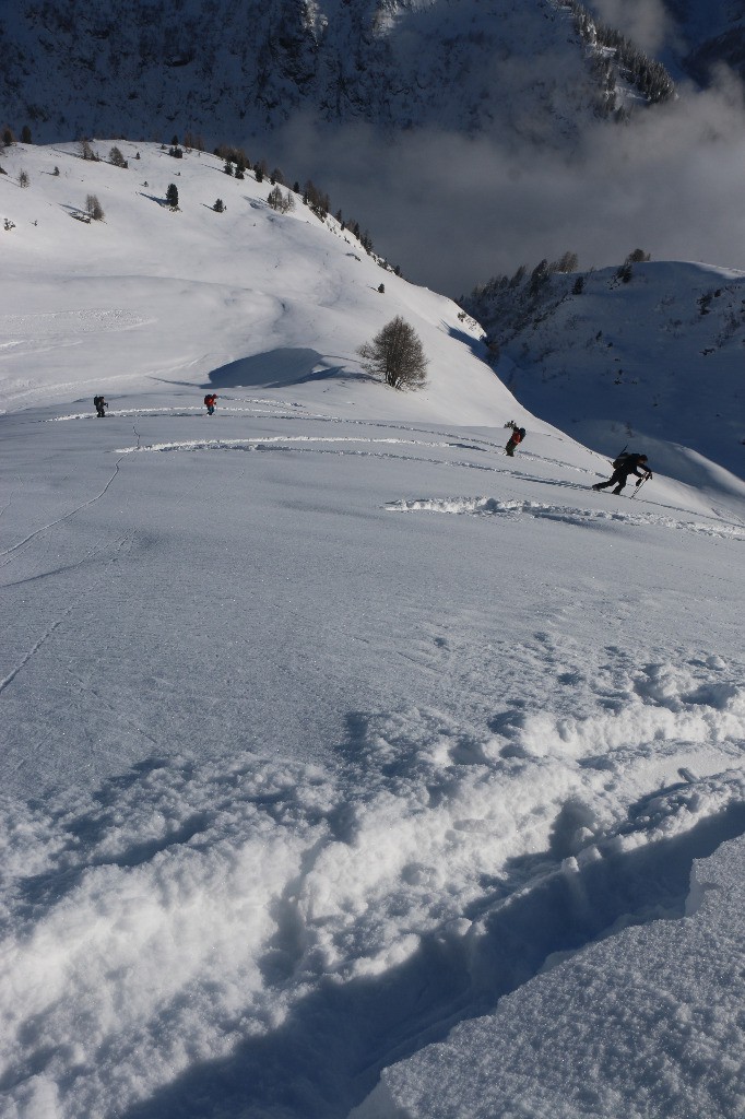 #7 de la fraiche de la fraiche