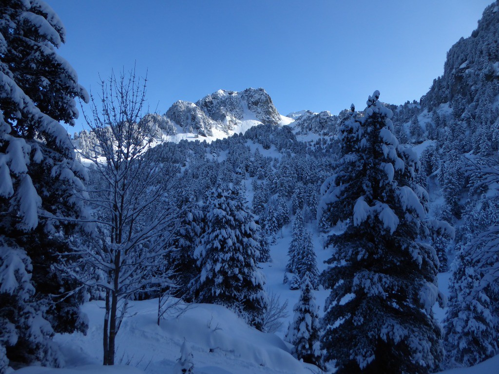 Grand Eulier vue avant la petite descente du lac des Pourettes
