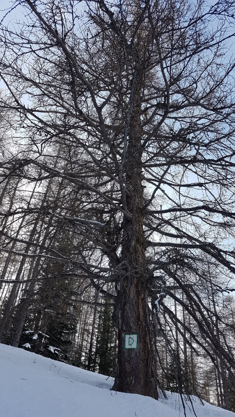 #4 La porte d La porte d'entrée du domanial !