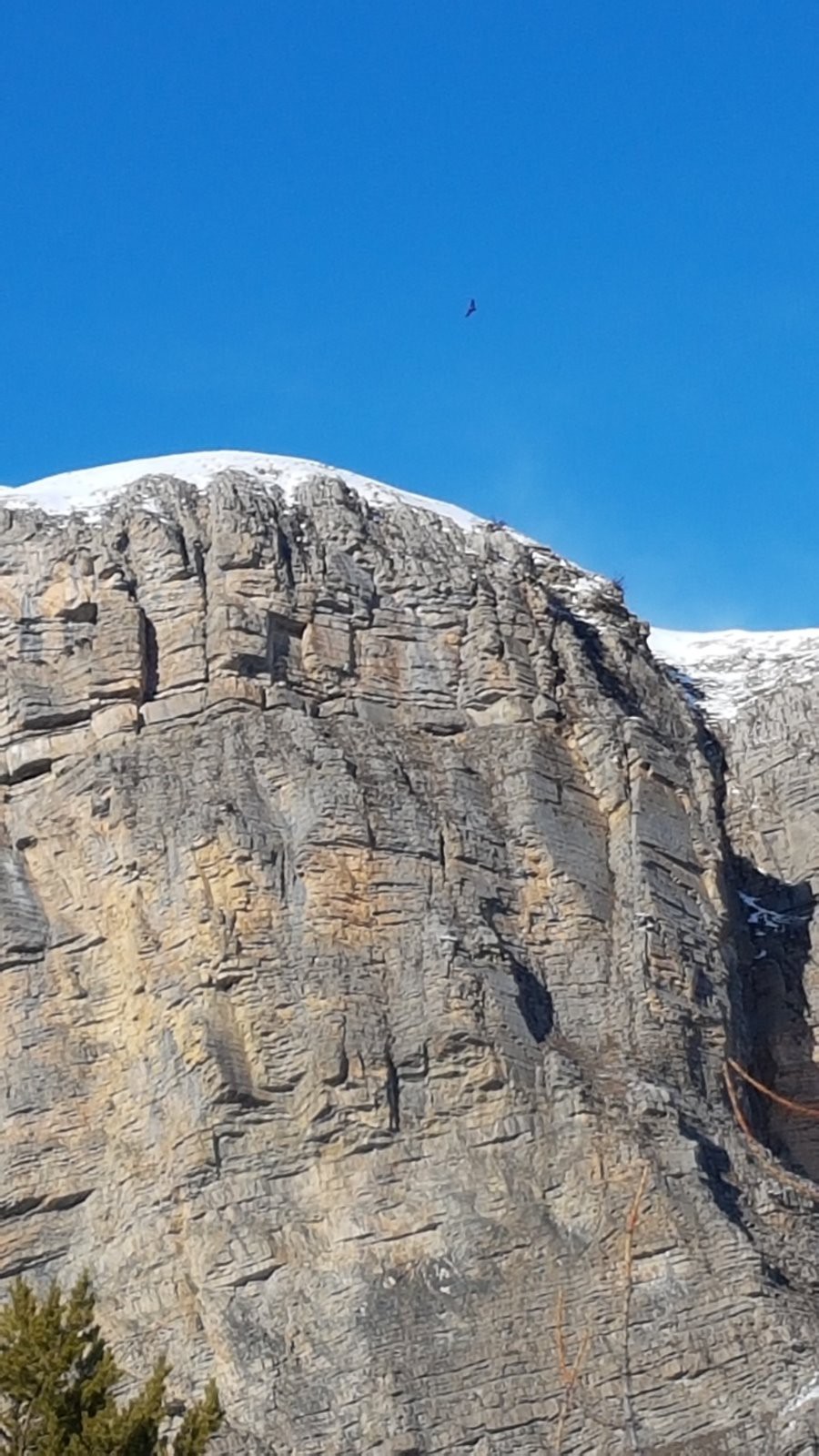 #10 Où est son nid ? Où est son nid ?