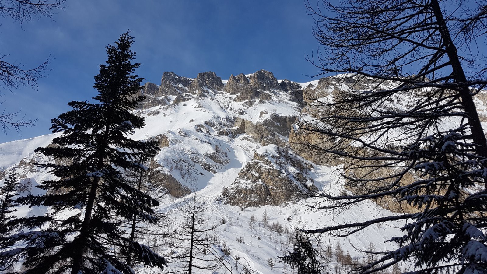 #3 Le Balafré ! Le Balafré !