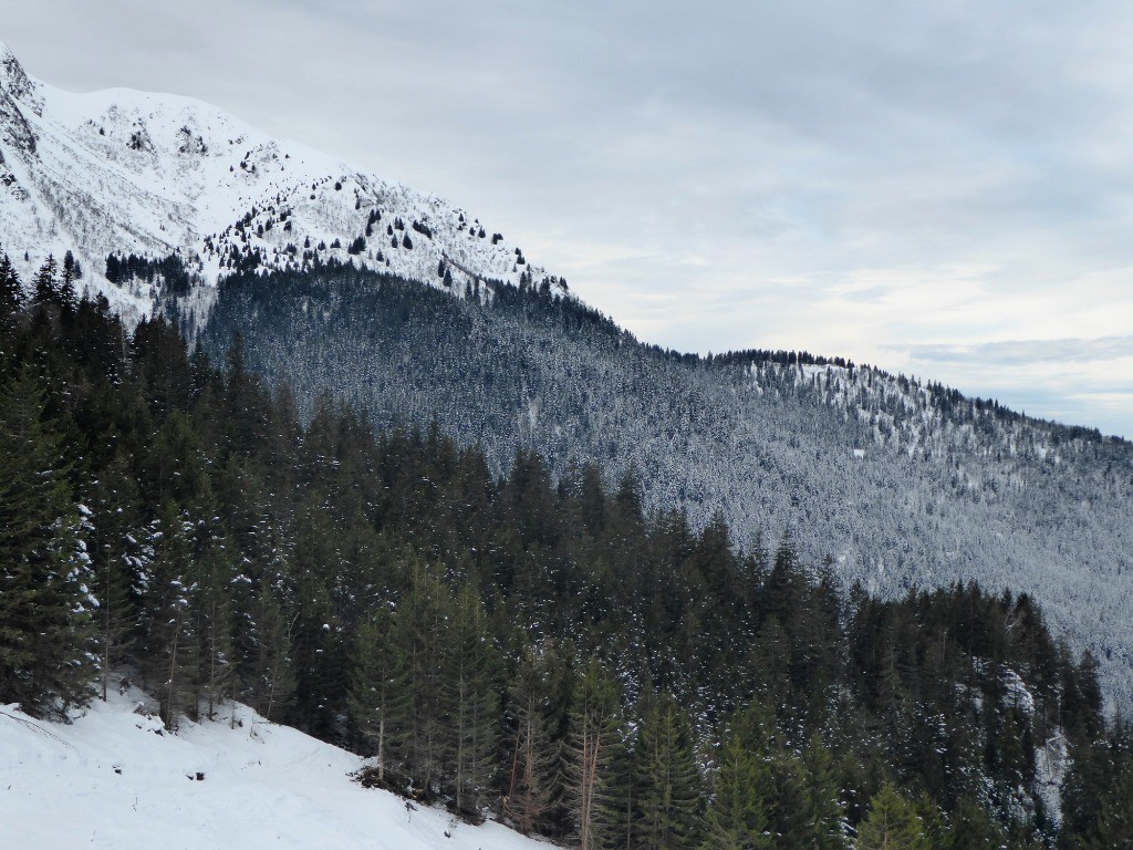 #2 Contraste entre versants Contraste entre versants