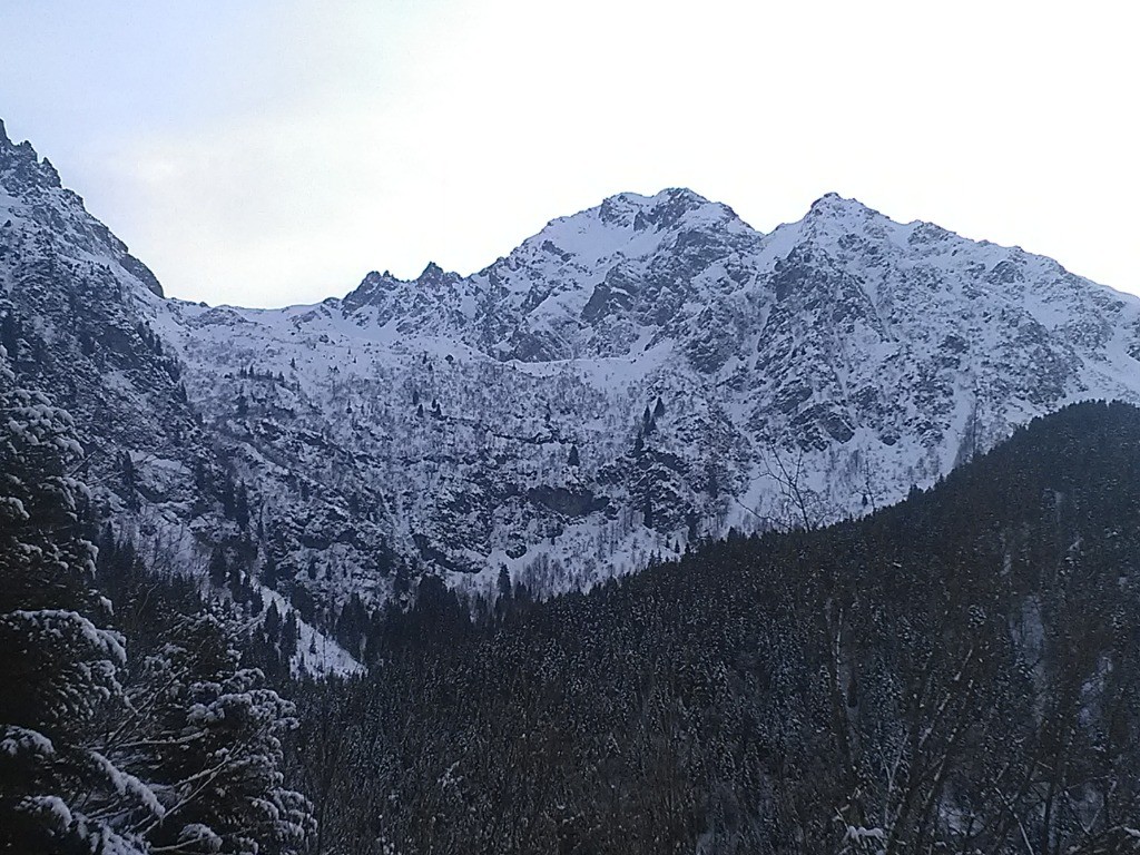 #6 La coulée est partie dans la combe à gauche des 4 sapins formant une ligne verticale, mes skis sont quelque part la bas... La coulée est partie dans la combe à gauche des 4 sapins formant une ligne verticale, mes skis sont quelque part la bas...