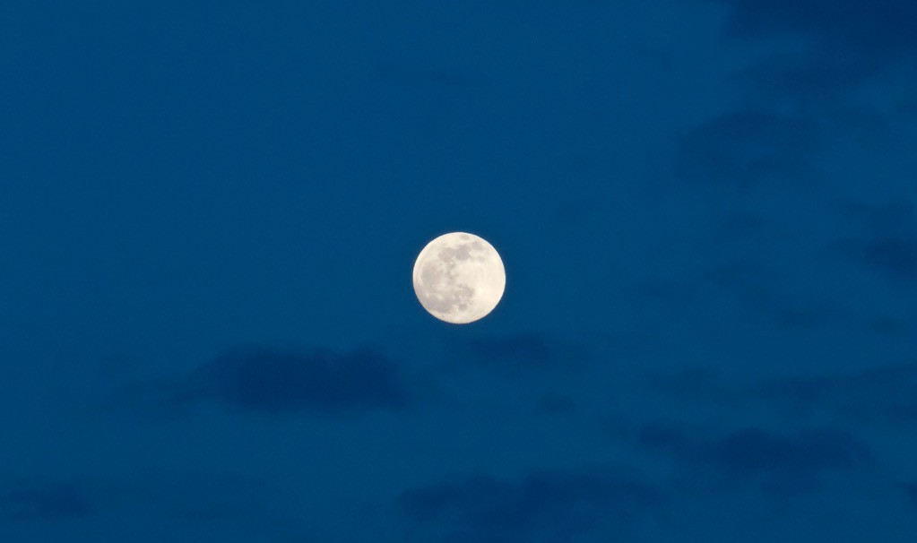 #8 Elle est pleine ! Elle est pleine !