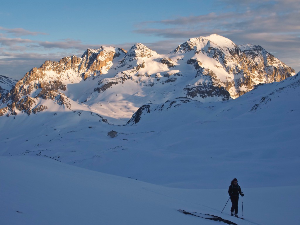 #6 Flore sur fond de Roche Bernaude. Flore sur fond de Roche Bernaude.