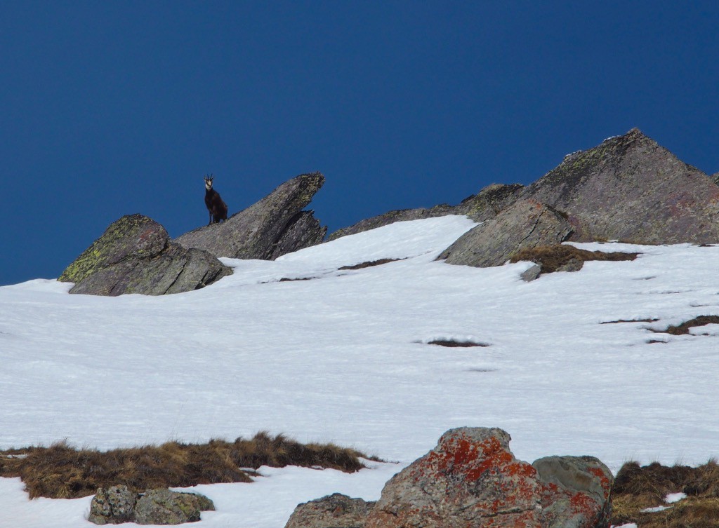 #23 Le gardien du col Le gardien du col