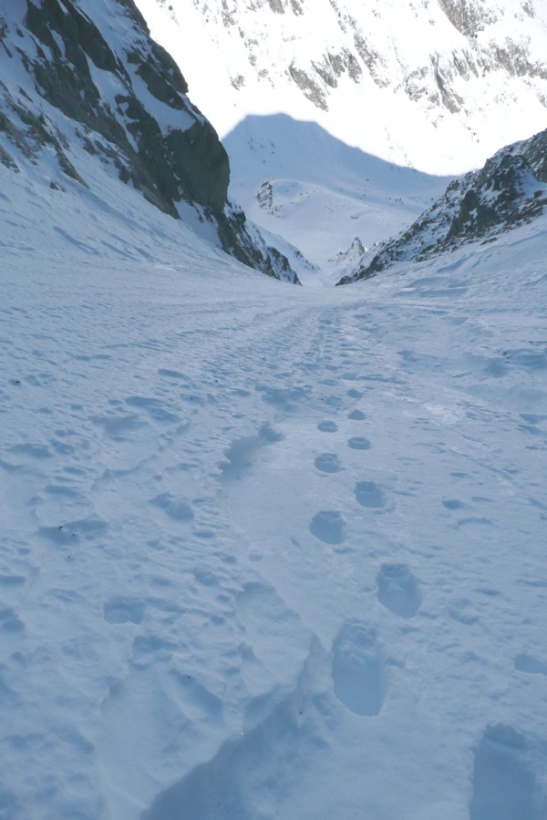 Les crampons sont dans le sac : Montée skis au pieds (avec couteaux) jusqu'à 2250 m, puis à pied pour les 300 derniers mètres.