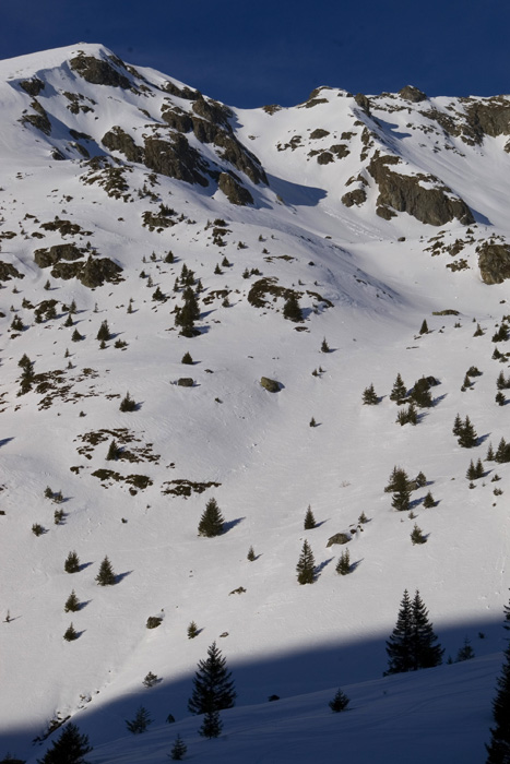 #1 Sortie de forêt : Ça chauffe sur les pentes du Las des Lièvres. Sortie de forêt : Ça chauffe sur les pentes du Las des Lièvres.