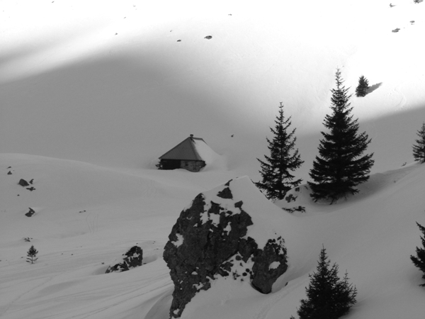 #4 Habert d Habert d'aiguebelle : L'habert bien recouvert.