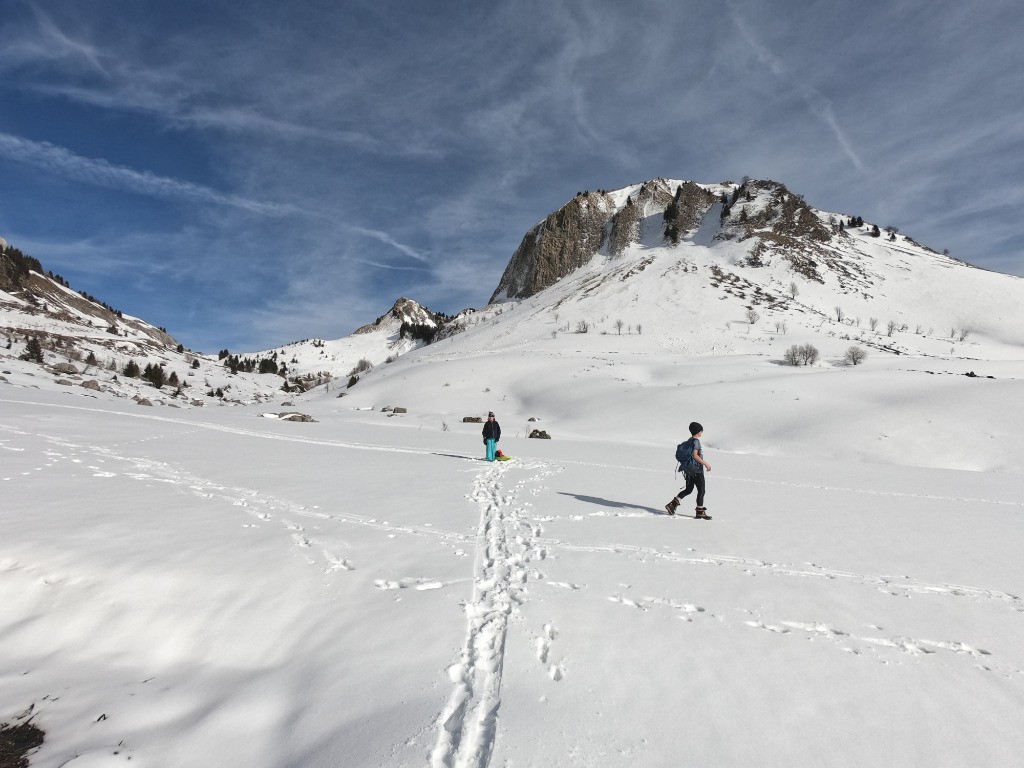 #1 Descente physique en luge Descente physique en luge