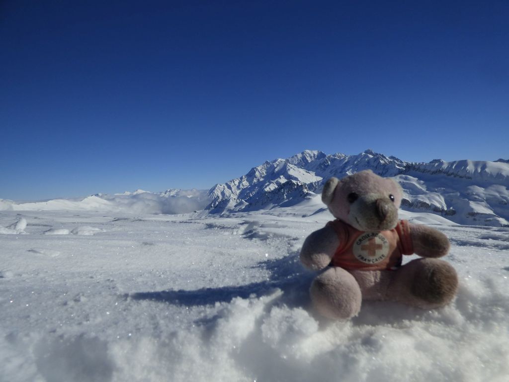 L'ours aime la vue sur le Mt Blanc