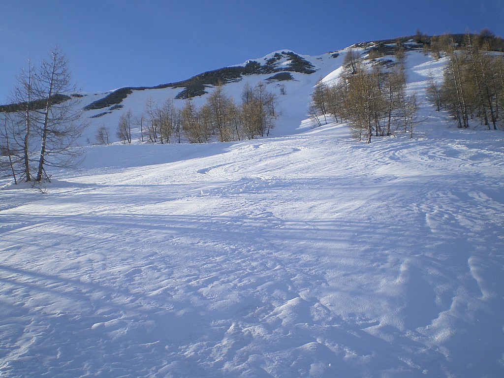 #5 De la poudre ! De la poudre !