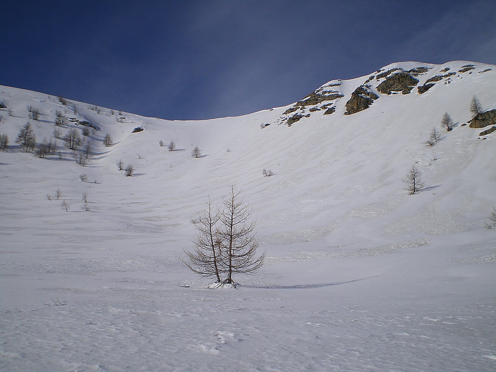 #7 Là partir vers les arbres à droite. Pas tout droit. Là partir vers les arbres à droite. Pas tout droit.