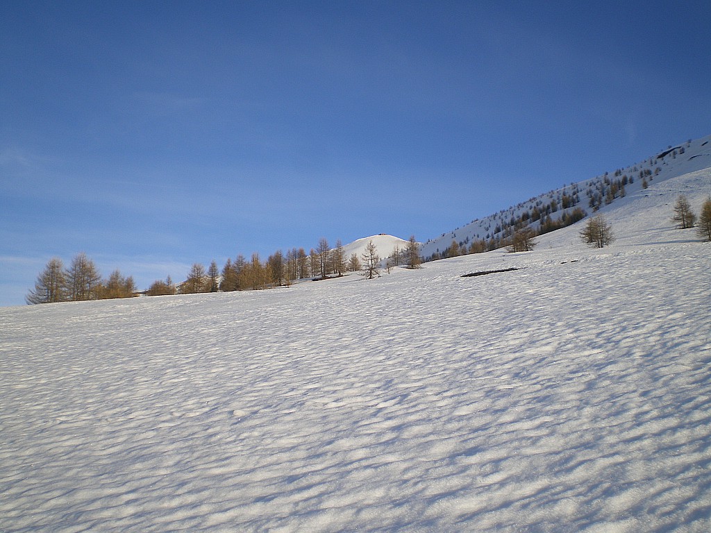 #1 Premier objectif en vue ! Premier objectif en vue !