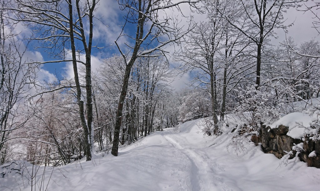 #13 Remontée vers les estaris Remontée vers les estaris