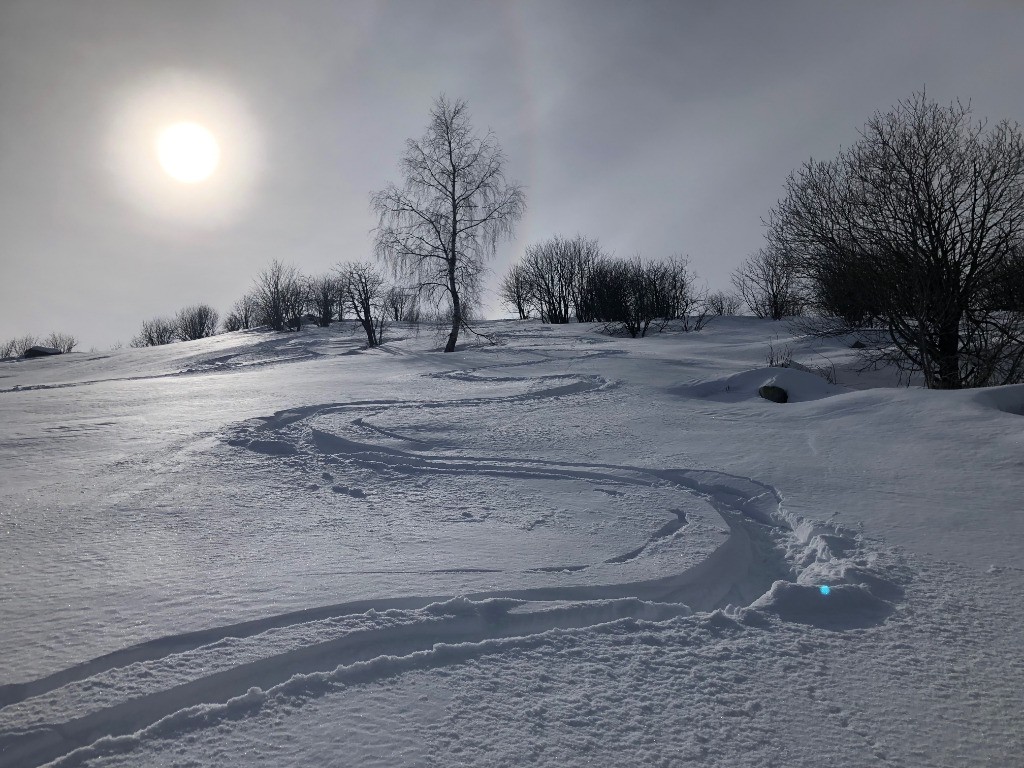 #3 bonne poudre lourde bonne poudre lourde