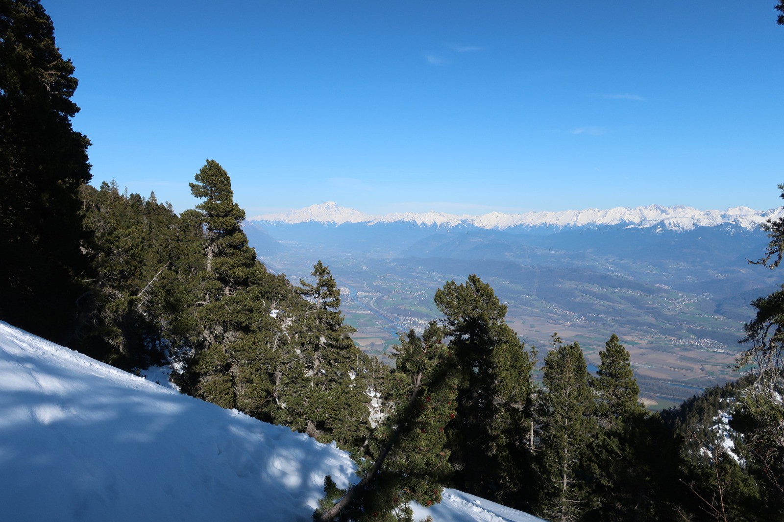 #19 Au milieu de la forêt chartrousine Au milieu de la forêt chartrousine