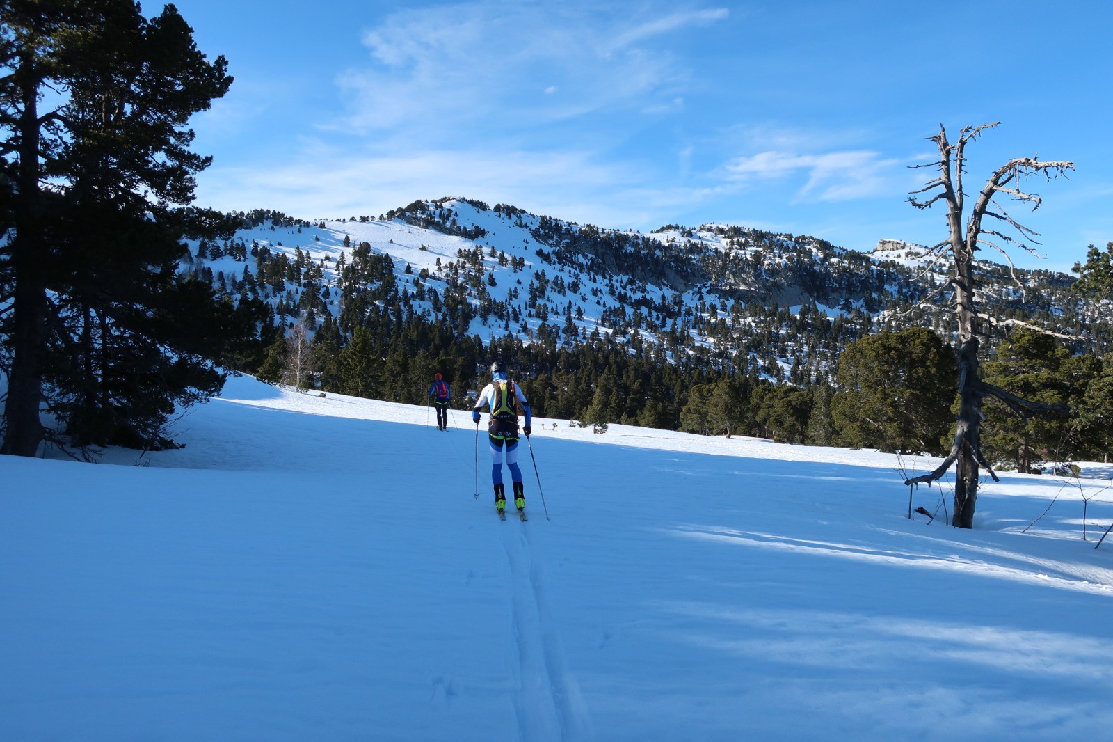 #20 Dernier sommet en vue Dernier sommet en vue