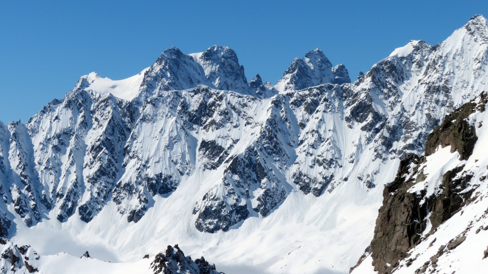 #9 Des purges de partout! Des purges de partout!