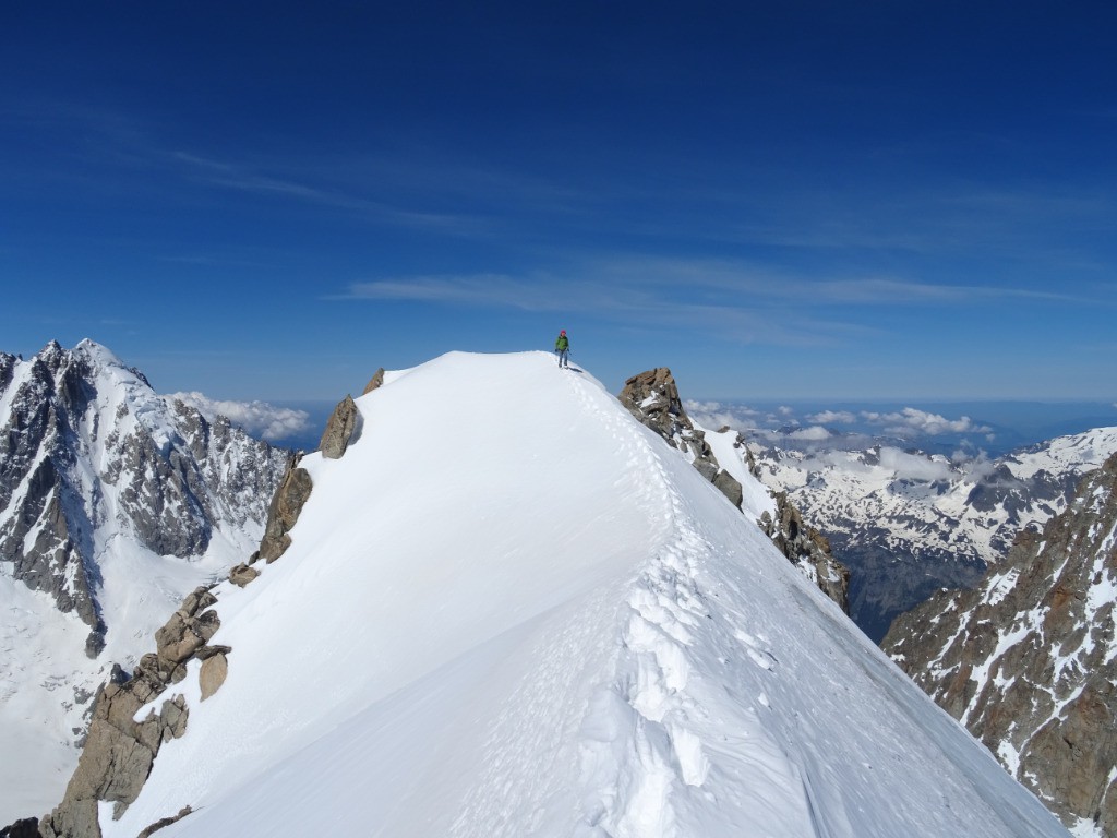 #11 Antécime W Antécime W