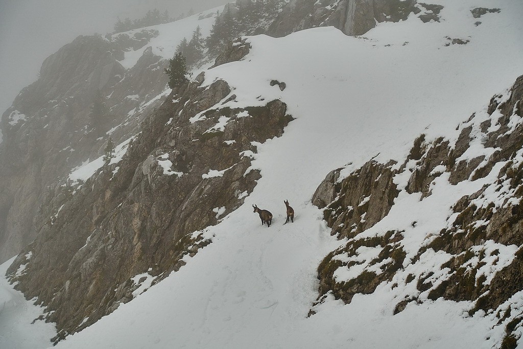 #4 Retrouvaille des copains... Retrouvaille des copains...