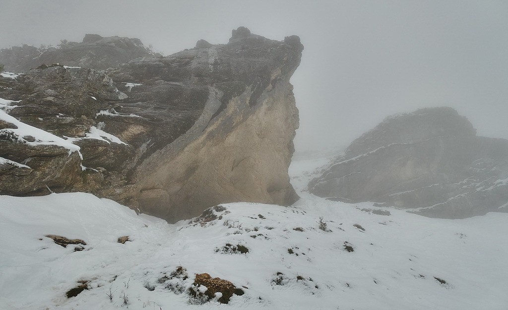 #5 L L'entre de la bête...