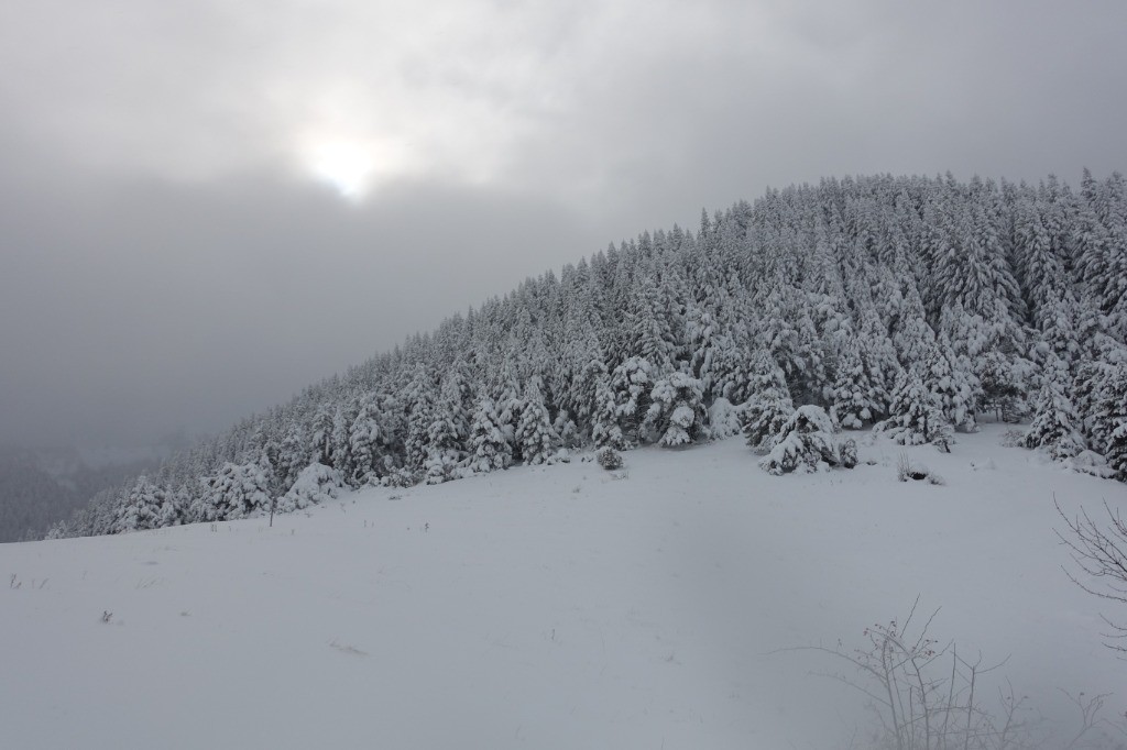 #3 C C'est beau !