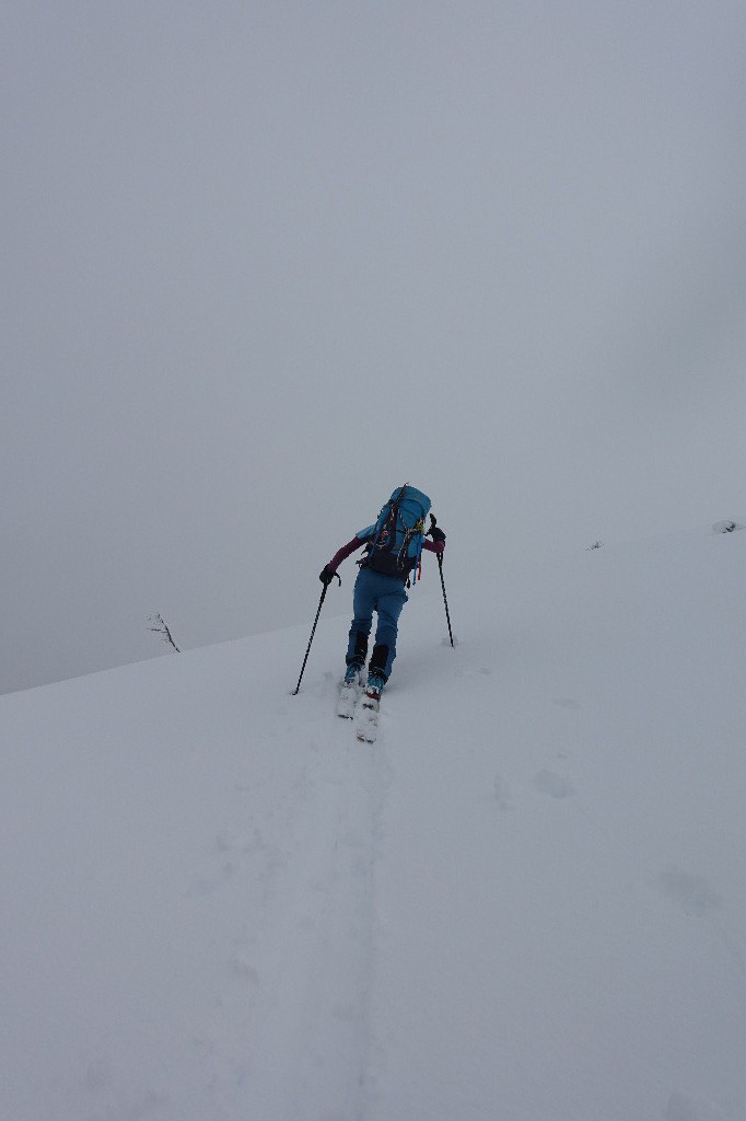 #4 En route pour le sommet En route pour le sommet