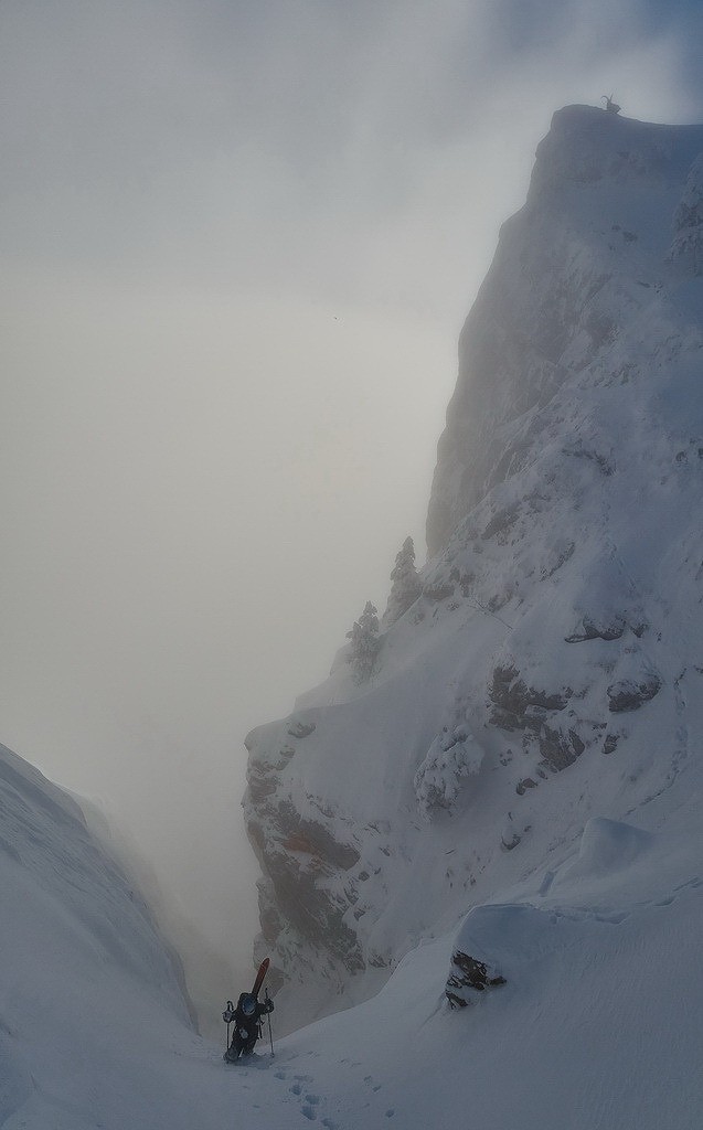 #16 Lorsque la faune locale nous prend de haut... Lorsque la faune locale nous prend de haut...