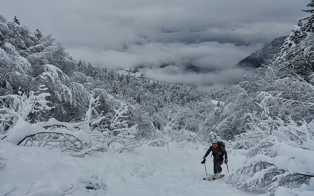 #2 Au sortir du bois... Au sortir du bois...