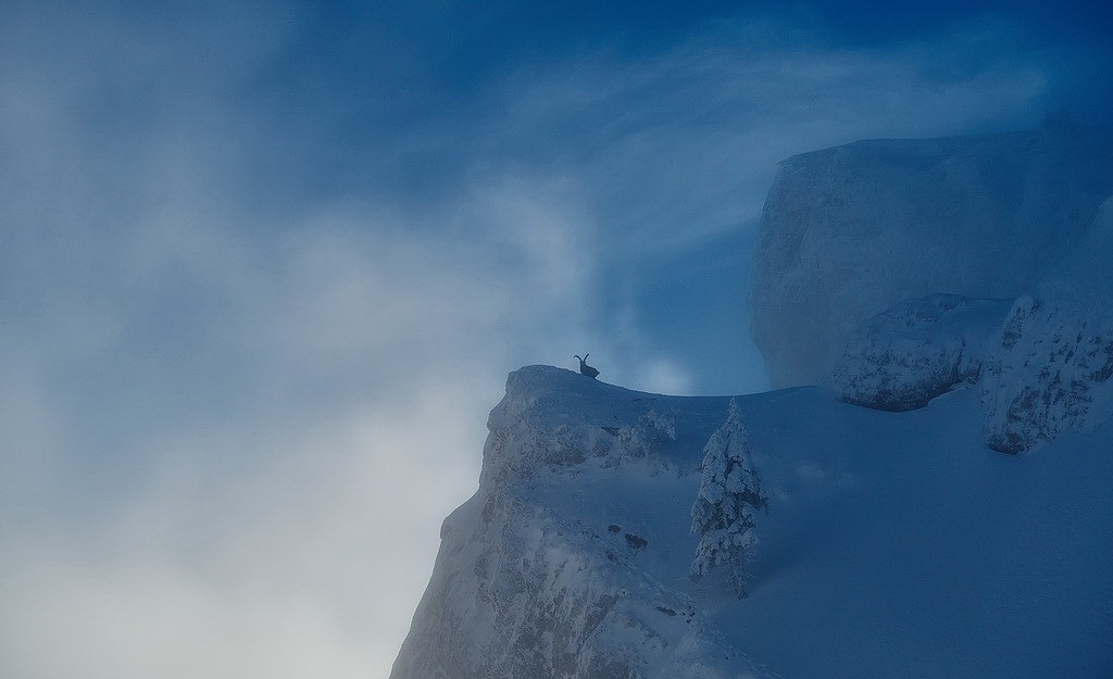 #17 Sa majesté... Sa majesté...