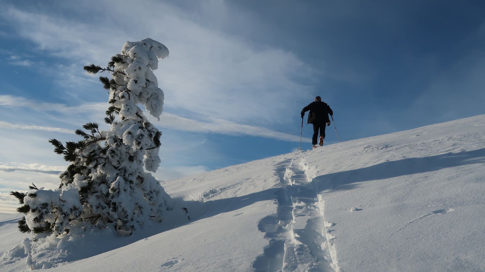 #1 Le Dôme Le Dôme