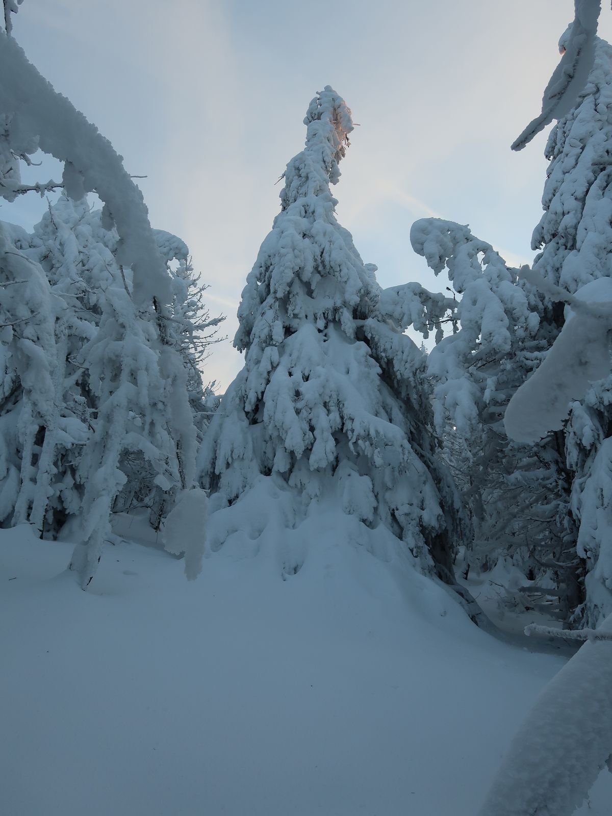 #4 Joli platrage Joli platrage