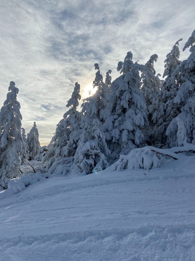 #2 Le soleil joue à cache-cache.. aie ca regele Le soleil joue à cache-cache.. aie ca regele