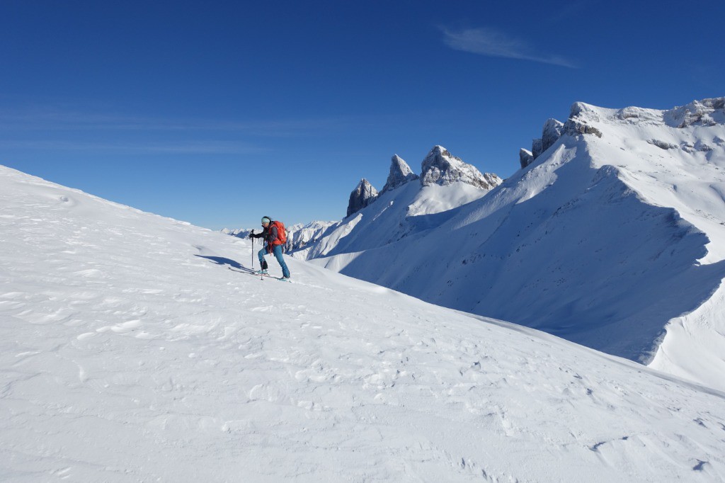 Une tripotée d'aiguilles