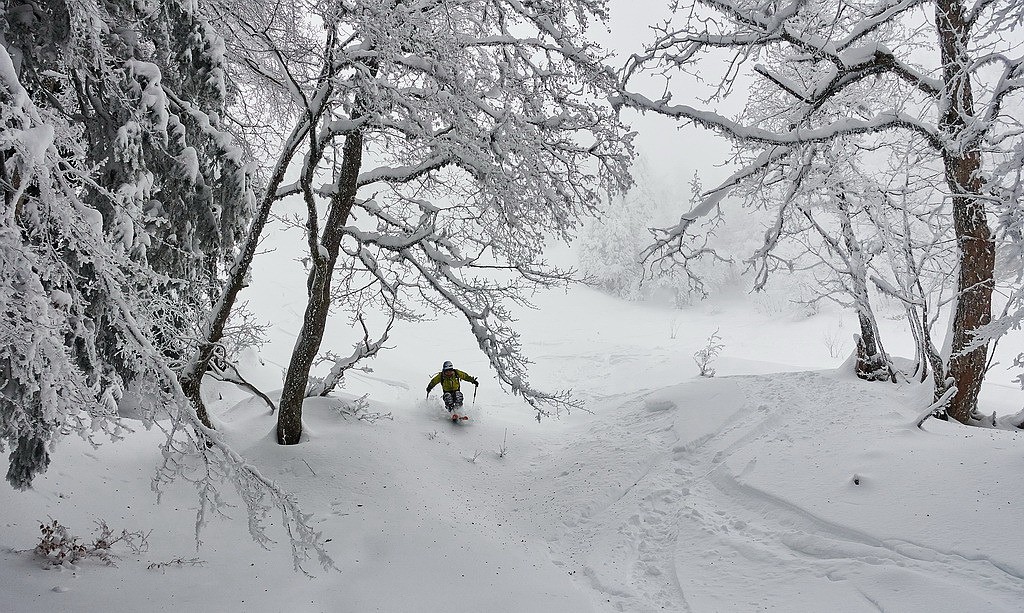 #17 L L'énergumène monte en puissance et fonce tout droit sur le photographe...