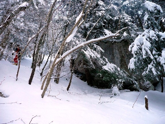 #1 sanglier : On rentre dans le bois, l sanglier : On rentre dans le bois, l'odeur de but est forte...